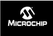 Micro-CHip-Logo